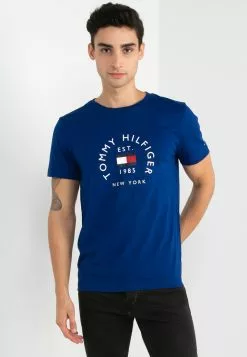 Flag Arch Tee - Tommy Hilfiger Apparel