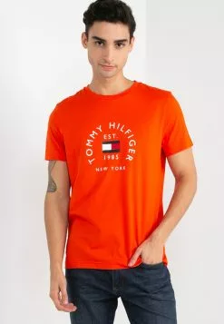 Flag Arch Tee - Tommy Hilfiger Apparel